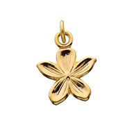 Violet Charm Violet Charm