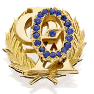 Chapter President's Badge product image
