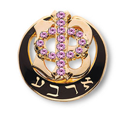 14k Yellow Gold Sapphires Pearls sorority Greek Pin U1412 Sigma Phi Gamma Badge