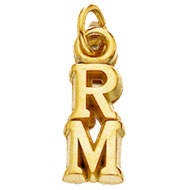 #67 Risk Management Chairman Dangle product image