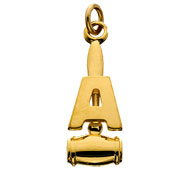 Alumnae Chapter President Dangle Alumnae Chapter President Dangle