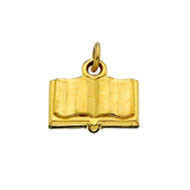 #26B Vice President Member Development Dangle #26B Vice President Member Development Dangle