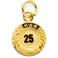 25 Year Slide product image