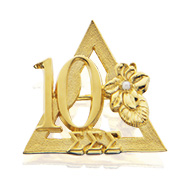 10 Year Pin