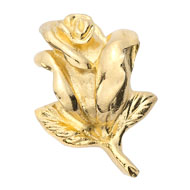50 Year Button product image
