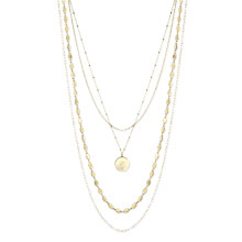 Lyanna Layered Necklace Lyanna Layered Necklace