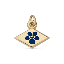 #3490 Chapter Foundation Ambassador Dangle #3490 Chapter Foundation Ambassador Dangle