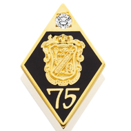 75 Year Pin product image