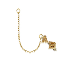 Chased Double Letter Guard product image