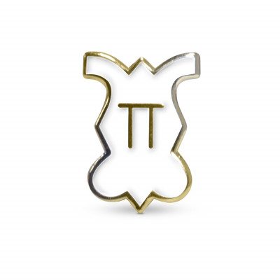 Provisional Chapter Pin product image