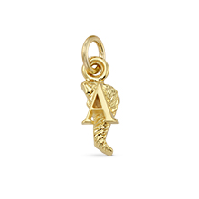 #25A Alumnae/Chapter Association Activities/Events Dangle #25A Alumnae/Chapter Association Activities/Events Dangle