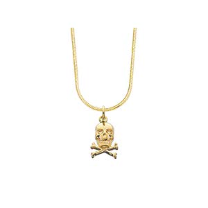 Skull Charm with Snake Chain product image