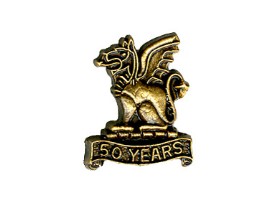 50 Year Lapel Pin 50 Year Lapel Pin
