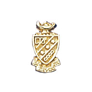 Coat of Arms Crest Button