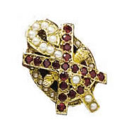 Close Set Jeweled Badge product image