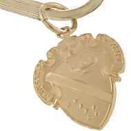 Matte Crest Fob Keyring Matte Crest Fob Keyring