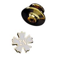 Alumni Recognition Lapel Pin product image