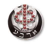 Polished Badge with Garnet Phi