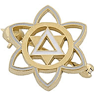 Golden Circle Pin