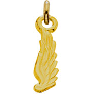 #21 Advisor, Organizer, or Sponsor Dangle