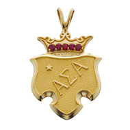 Past National Councilor Pendant