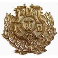 Alumnae Fob Pin