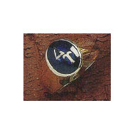 Small Comstock Ring w/Encr. Blue Spinel