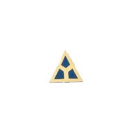 Pledge Pin