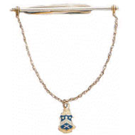 Tiebar with Chain and enameled crest