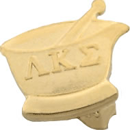 Official Recognition Pin