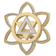 Golden Circle Tac Back Pin