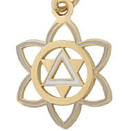 Golden Circle Charm