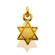 #39 Star of David Dangle