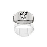 Brotherhood Ring Brotherhood Ring
