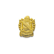 Crest Lapel Button