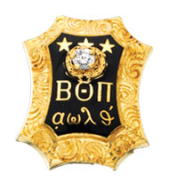 Large Chased Badge with CZ, 10K