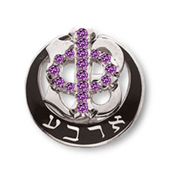 Polished Badge with Amethyst Phi