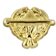 Recognition Pin