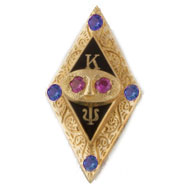 Chased badge with Sapphire Points & Ruby Eyes