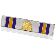Military Service Recognition Pin