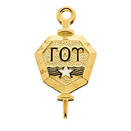 Insignia Pin