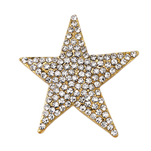 Rhinestone Star Pin/Pendant