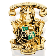 Enameled Coat of Arms Pin