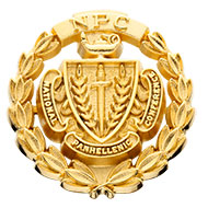 Coat-of-Arms Pin