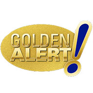 Golden Alert Pin