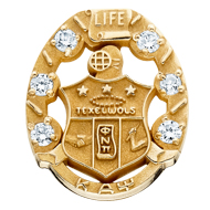 Life Member Pin with Diamonds