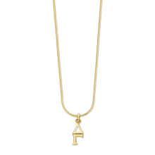 10K Lavaliere and Gold Filled Snake Chain