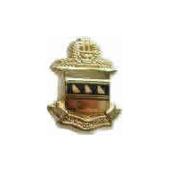 Large Crest Button with Enamel
