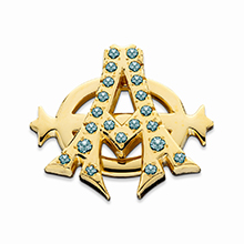 VIPhi Badge