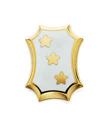 New Member Pin Bundle